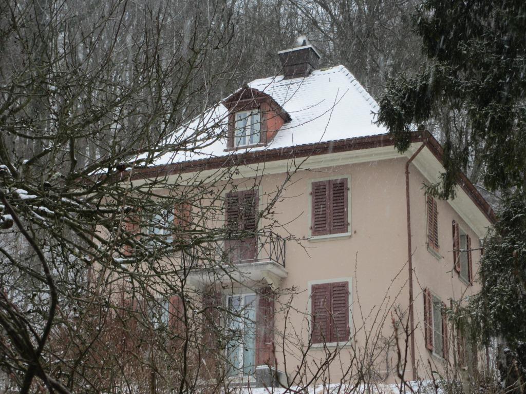 Ansicht der alten Fassade.